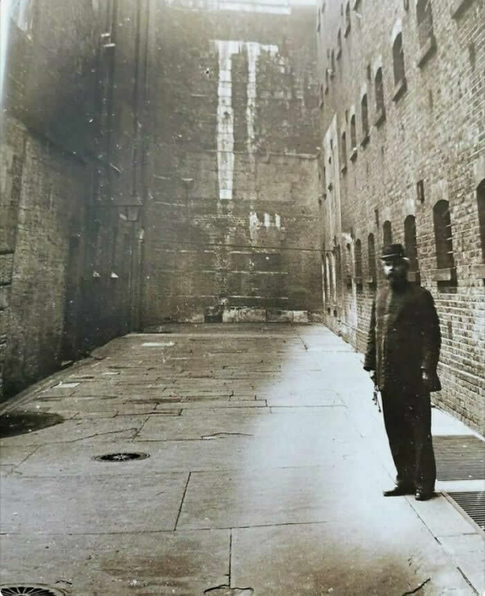 Fascinating Vintage Photos That Bring History to Life