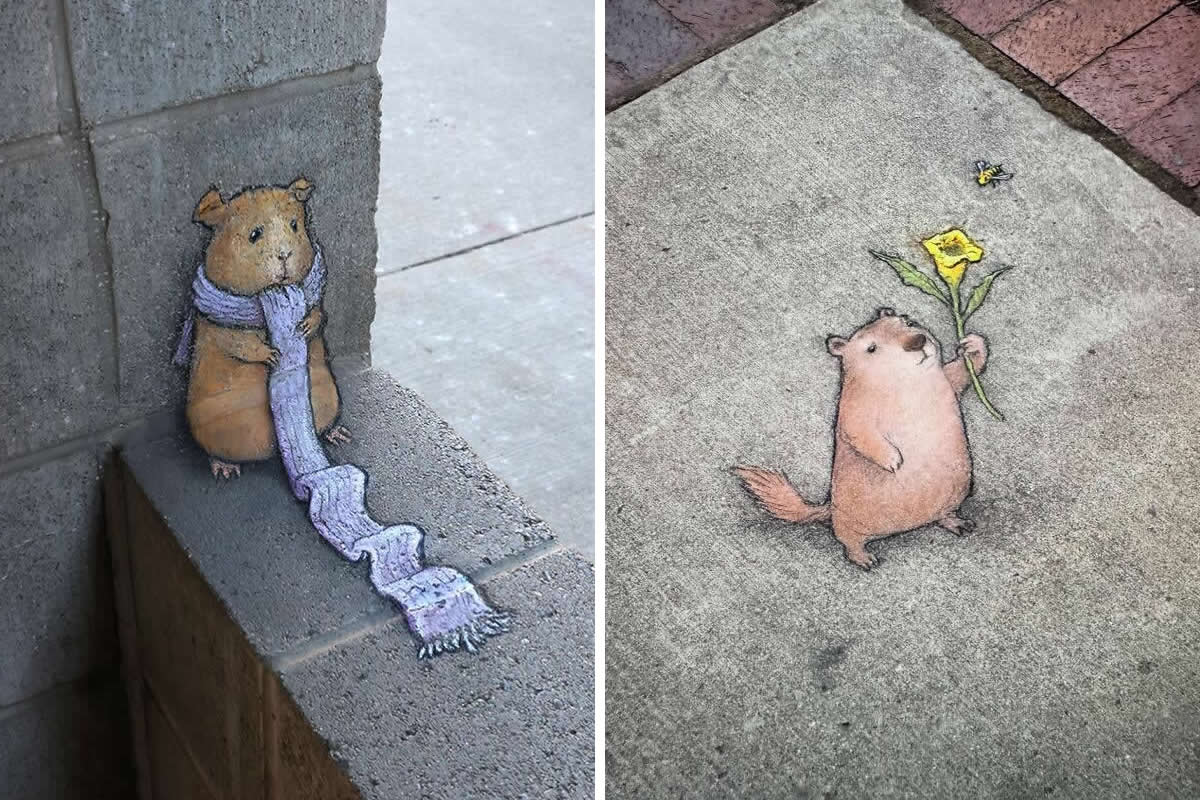 Magical Sidewalk Artworks by David Zinn That Bring Streets to Life