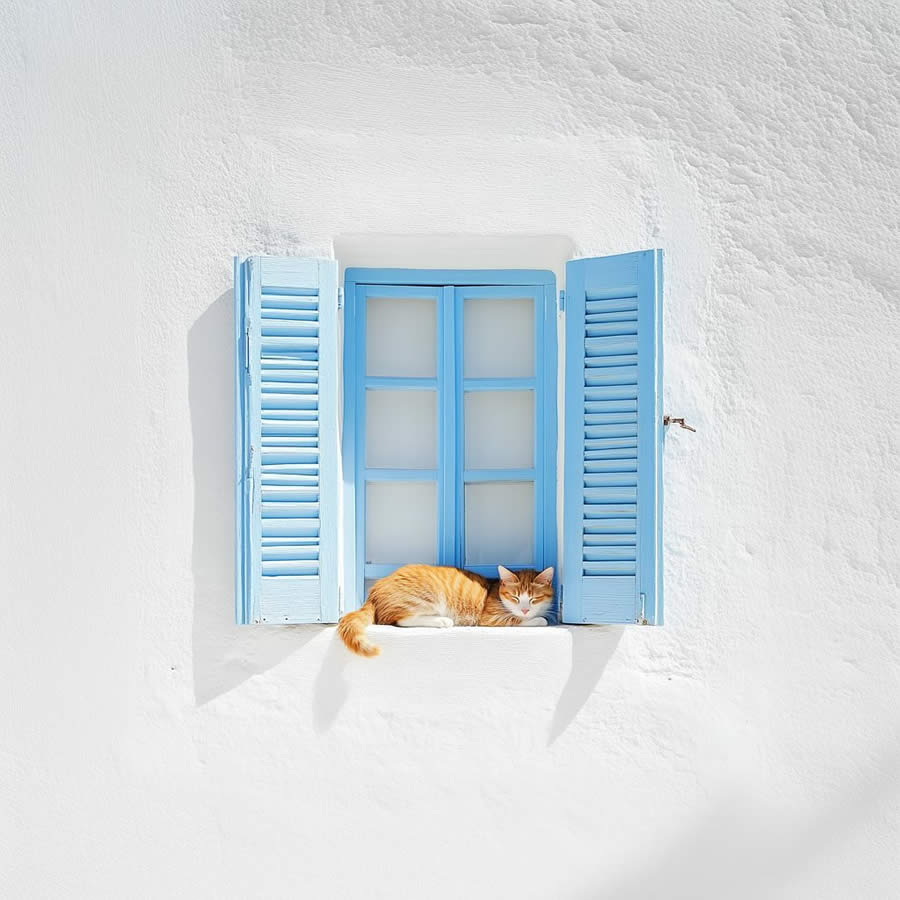 Minimalist Photos That Capture the Pure Essence of Simplicity
